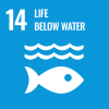 Sustainable development goal 14: life below water