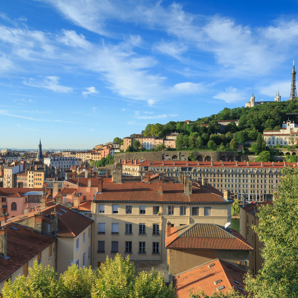 Panorama lyonnais © Sander van der Werf / Shutterstock 692137444